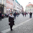 ������ ����� �� ������� ���� ����������