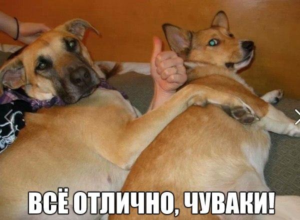 ������������ ���� - 21 ������ 2015 � 22:35