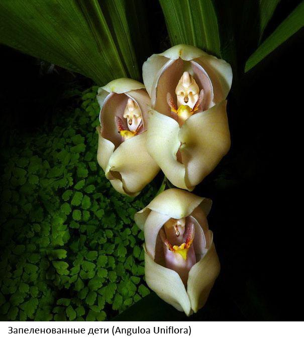   .      .     ... - 5