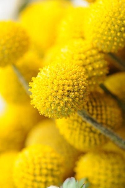 Art & Fun - 8  2015  15:38 - 3