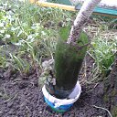 13. ������ ������ ���� ���������. �� ������� ���������� ������: "������ ���������? ��������)))"�