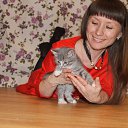 ���� �����, ������������, 43 ���� - ��������� 5 ����� 2015 � ������ ���� ����������