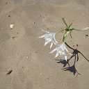 ������. ���� ������ ���, �� ������� ������ ����� �������. ����������� ����� ������ +30 ��������! �� ������� ���� ����������