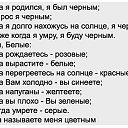 Vladimir,  -  16  2015   