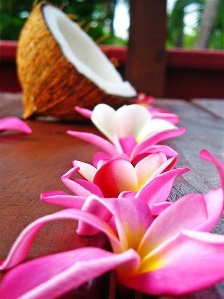 #foodporn@bon.appetit