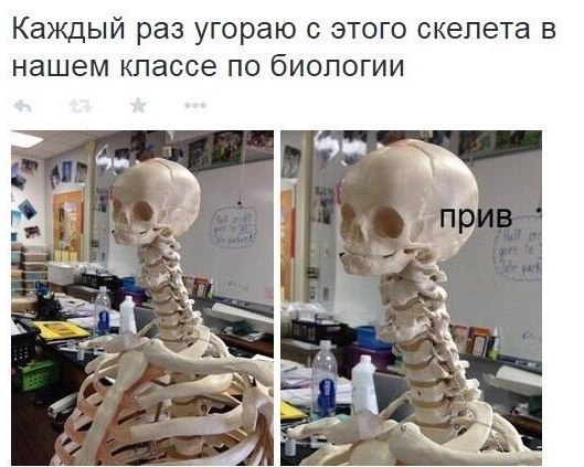     - 1  2015  04:21