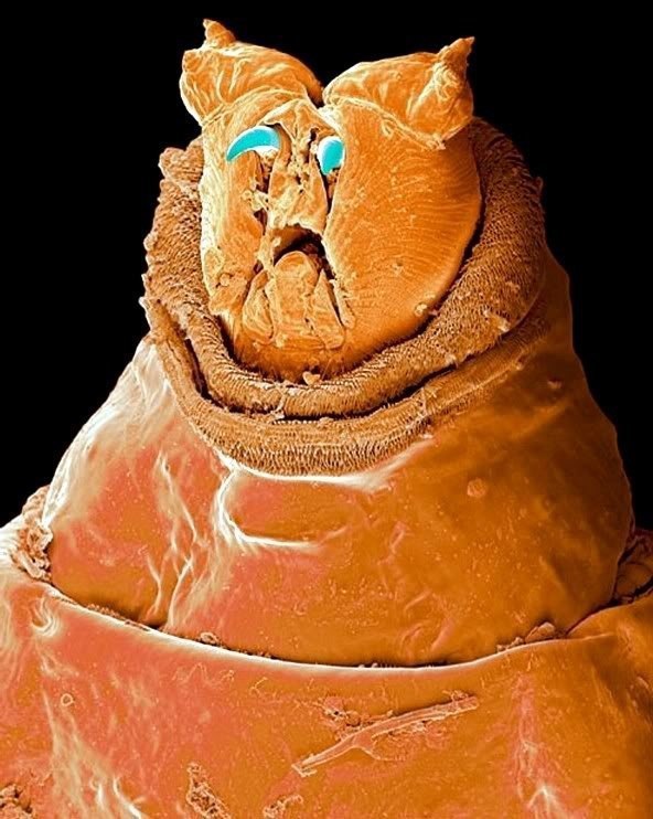   .