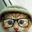 ���� ������, �������, 37 ��� - ��������� 14 ������� 2014 � ������ ���� ����������