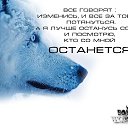 ���� ��������, �����-���������, 63 ���� - ��������� 27 ����� 2015 � ������ ������ ��������