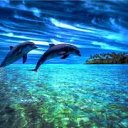 ���� Ramin, ����, 42 ���� - ��������� 28 ������� 2015