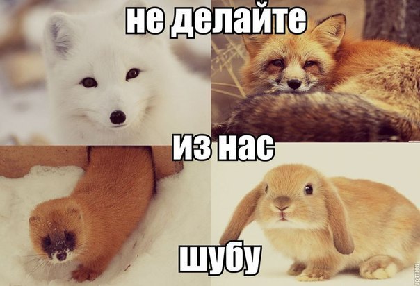   :3