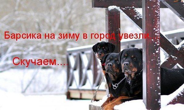  - 1  2015  01:47