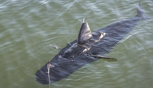 Silent Nemo -  ,       ,   ...