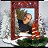 ���� Tolik, ������ - ��������� 2 ������� 2015