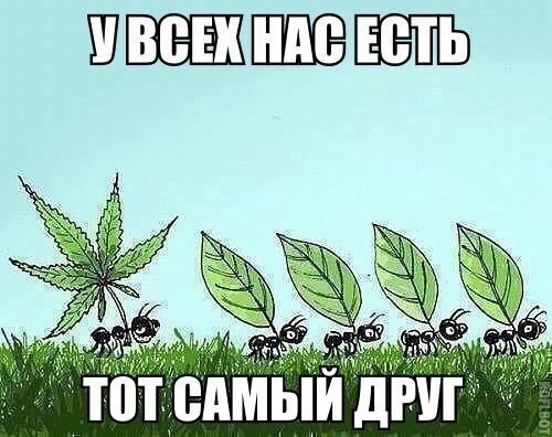   - 7  2015  18:30