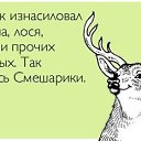 ���� ���������, ������, 58 ��� - ��������� 11 ������ 2015 � ������ ���� ����������