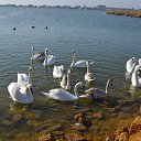 ���� ������, ���������, 42 ���� - ��������� 24 ������ 2015 � ������ �XXX�