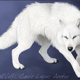 ���� Fhbyf, ������, 22 ���� - ��������� 19 ������ 2015