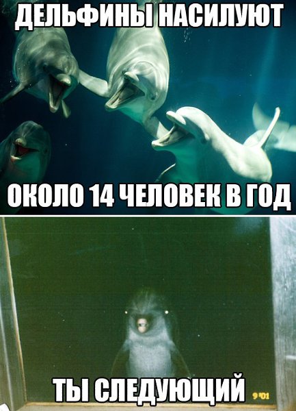  - 5  2015  13:39