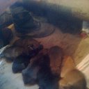 ���� ������, �����-���������, 54 ���� - ��������� 6 ������� 2015 � ������ ������