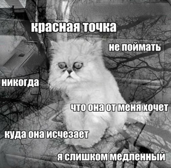    :D - 17  2015  10:15 - 4