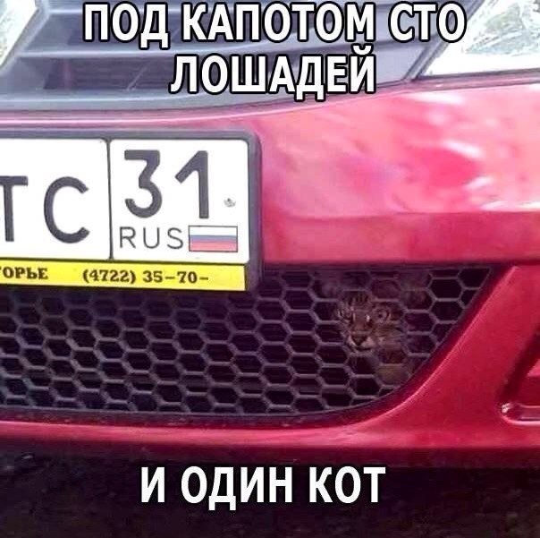 ������������ ���� - 7 ������ 2015 � 16:02