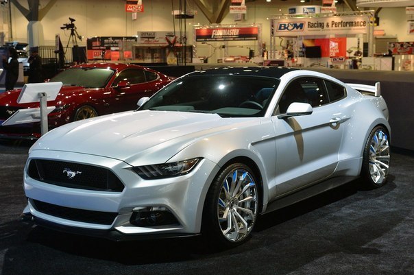 Ford Mustang Customs - 3