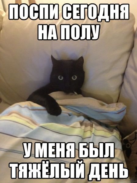  -  - 21  2015  05:24