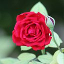 �������� ����. �� ������� ���� ����������