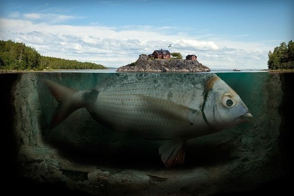   (Eric Johansson)    ,     ... - 9