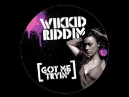 Menoza feat. Belle Humble - Got Me Tryin (RCola Remix)