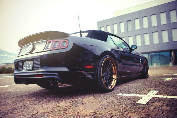 Ford Mustang Shelby GT500 - 5