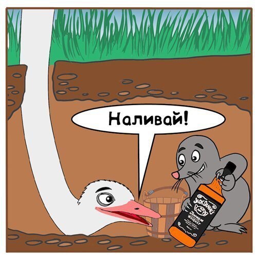 THE DUMP - 9  2015  22:04 - 2