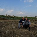  , , 41  -  5  2015   ....
