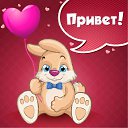 ���� �������, ����, 44 ���� - ��������� 14 ������� 2015 � ������ �������� ��������