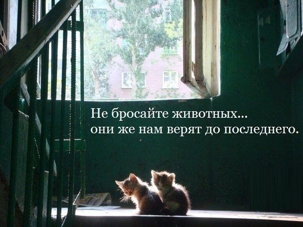       - 18  2015  05:30