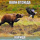 ���� �����, ��������, 48 ��� - ��������� 30 ������ 2015 � ������ ������ ��������