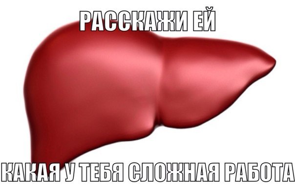     - 13  2015  18:20