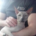 ���� ��������, �����, 49 ��� - ��������� 5 ������ 2015 � ������ ���� ����������