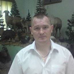 ������, ���������, 46 ���