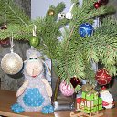 ����,��� ���� �� ������� ���� ����������