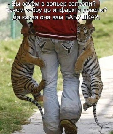 ��������� � ������,��� ���� ��������: <a href=