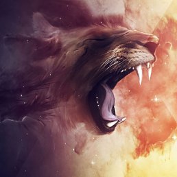 ���� ������, ����� - ��������� 18 ����� 2015