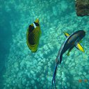 ���� ��������, ������ - ��������� 6 ������ 2015 � ������ ��������� ����� 2015���