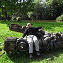 ������� ���������