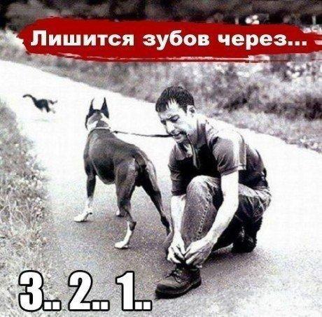   - 21  2015  10:03