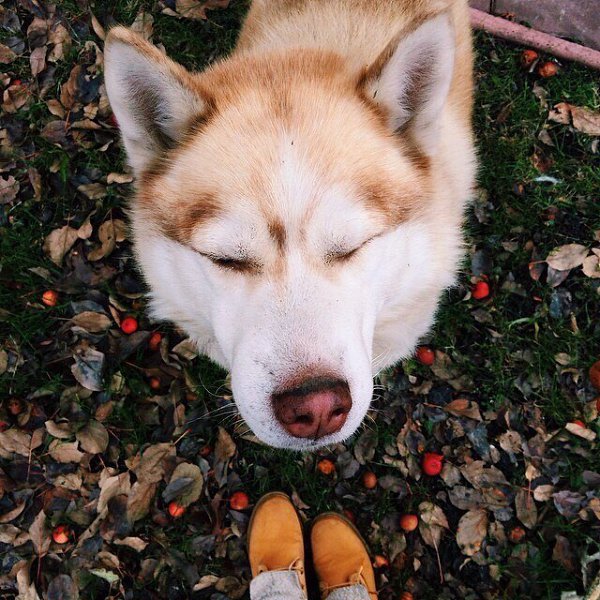 tumblr - 1  2015  20:39 - 2