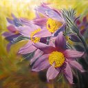 ���� ***�������***, �������� - ��������� 6 ������ 2015 � ������ �������..�