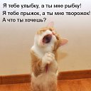  ,  -  19  2015    