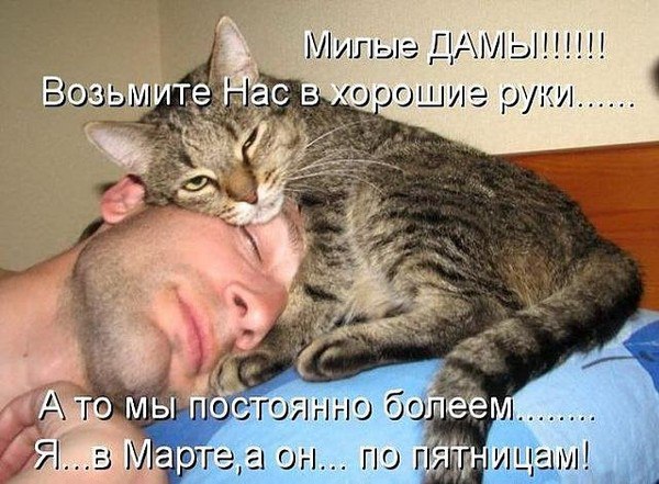   - 22  2015  10:55